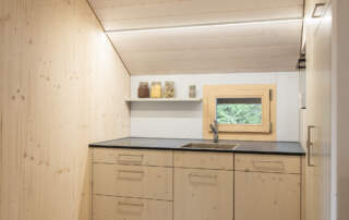 holzx_moosegg_03_23_0214_small